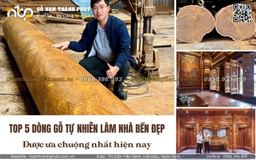 gỗ tự nhiên làm nhà gỗ được yêu thích nhất